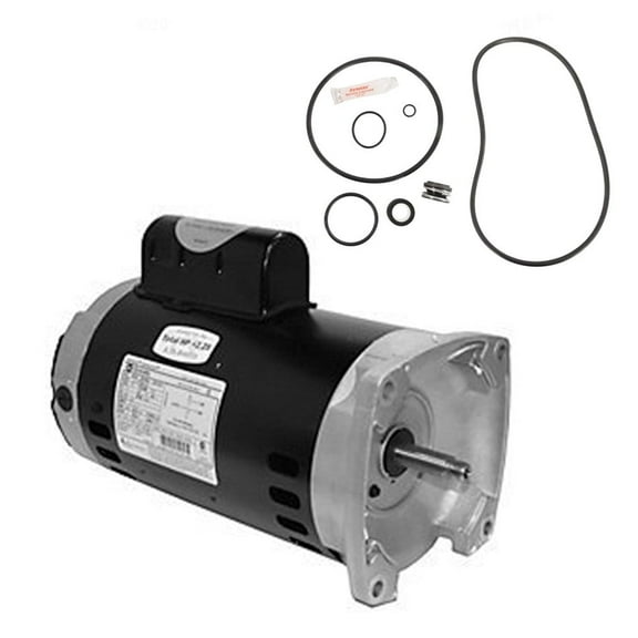 Puri Tech Sta-Rite Max-E-Pro 2HP P6R6G-208L Replacement Motor Kit AO Smith SQ1202 with GO-KIT-79