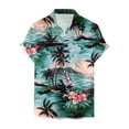 thumbnail image 2 of Playeras Camisa para hombre Camisa de playa de manga corta holgada informal (AG, M), 2 of 4