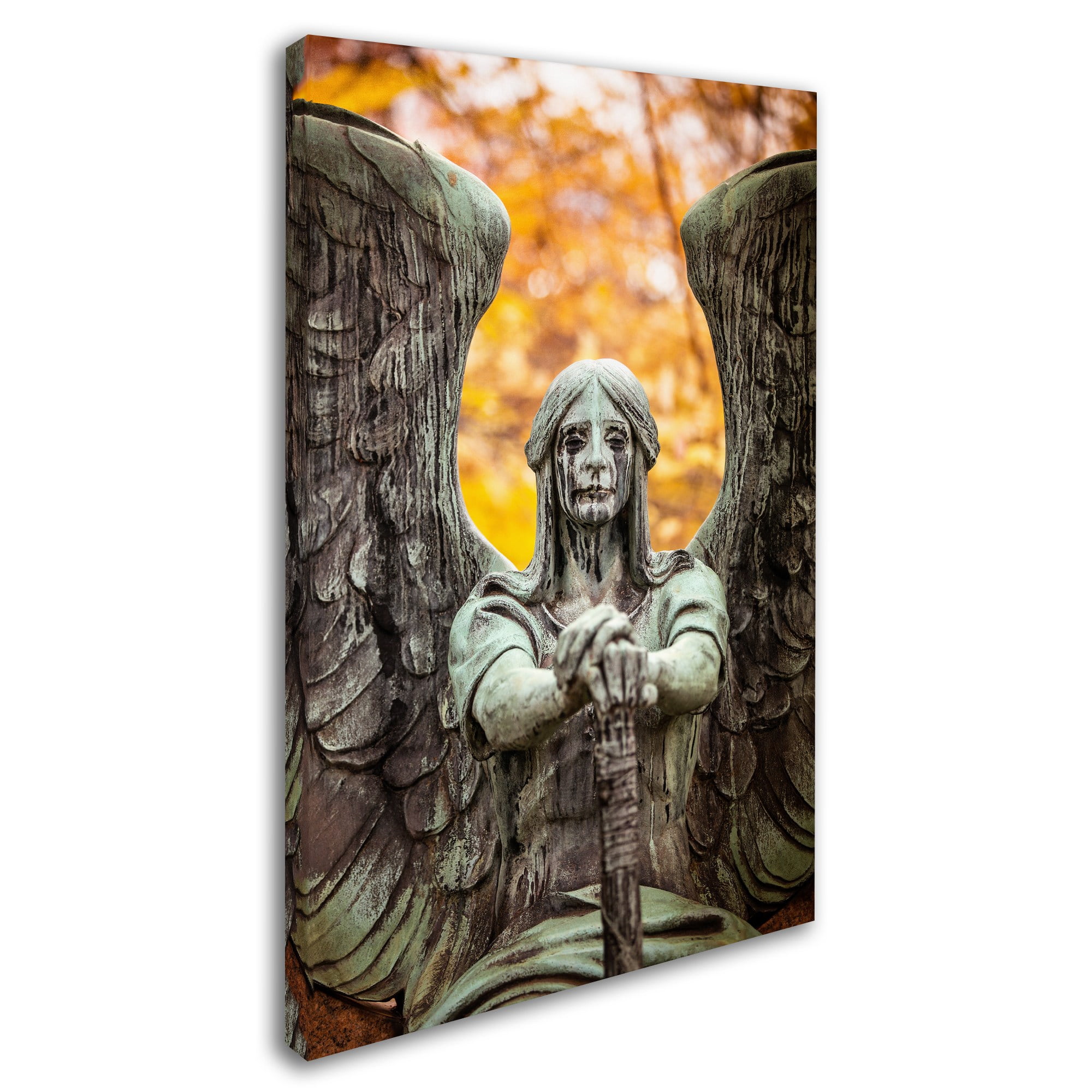 Trademark Fine Art "Angel of Death Victorious" Canvas Art by Jason Shaffer