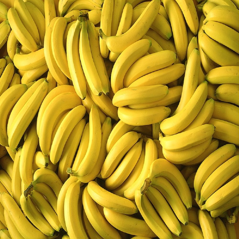 2 OZ FREE S&H IN USA BANANA PUDDING FRAGRANCE OIL FOR CANDLE & SOAP MAKING BY VIRGINIA CANDLE SUPPLY