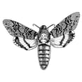 thumbnail image 3 of CafePress - Deaths Head Hawkmoth T Shirt - Men's White Classic Cotton T-Shirts, 3 of 4