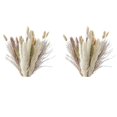 thumbnail image 1 of 80 Piezas, 45 cm Cola de Conejo Blanco Seca Natural Polvo de Trigo Planta de Hierba de Pampa Decoración Boho, 1 of 5