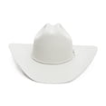 thumbnail image 1 of Sombrero Stetson Skyline Gris Plata Talla 7 3/8, 1 of 7