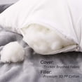 thumbnail image 2 of Inserts de Coussin, Inserts de Coussin Décoratifs, Insert de Forme de Coussin pour Canapé, Lit (2, 12X20 Po), 2 of 8