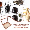 thumbnail image 3 of HIAKDOFT Versatile Wooden Display Box with Clear Cover for Organizing Butterfly and Flower Specimens, 3 of 8