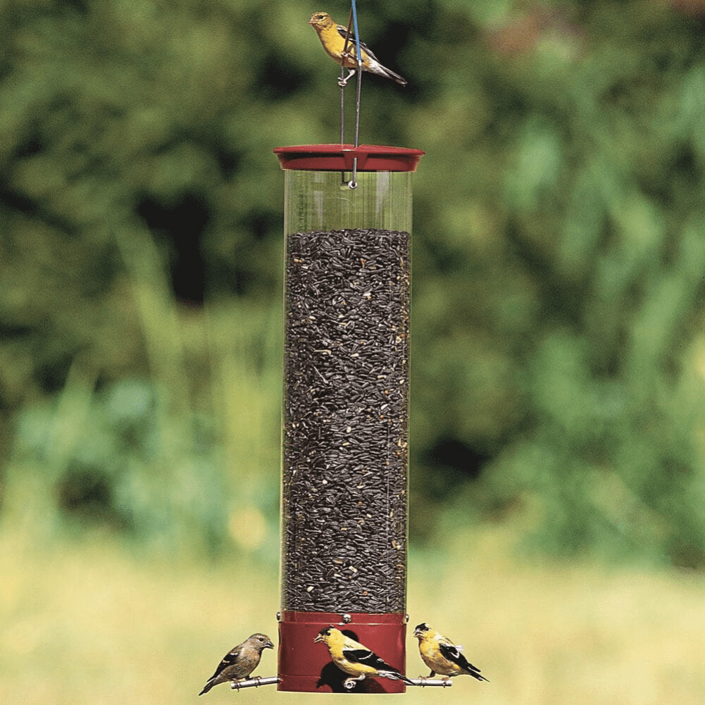 Droll Yankees Yankee Dipper Squirrel-Proof Tube Bird Feeder - Burgundy - 5 lb. capacity
