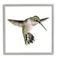 thumbnail image 3 of Stupell Industries Green Hummingbird Hovering Wings Flying Bird Beak Graphic Art Gray Framed Art Print Wall Art, Design by Studio Q, 3 of 5
