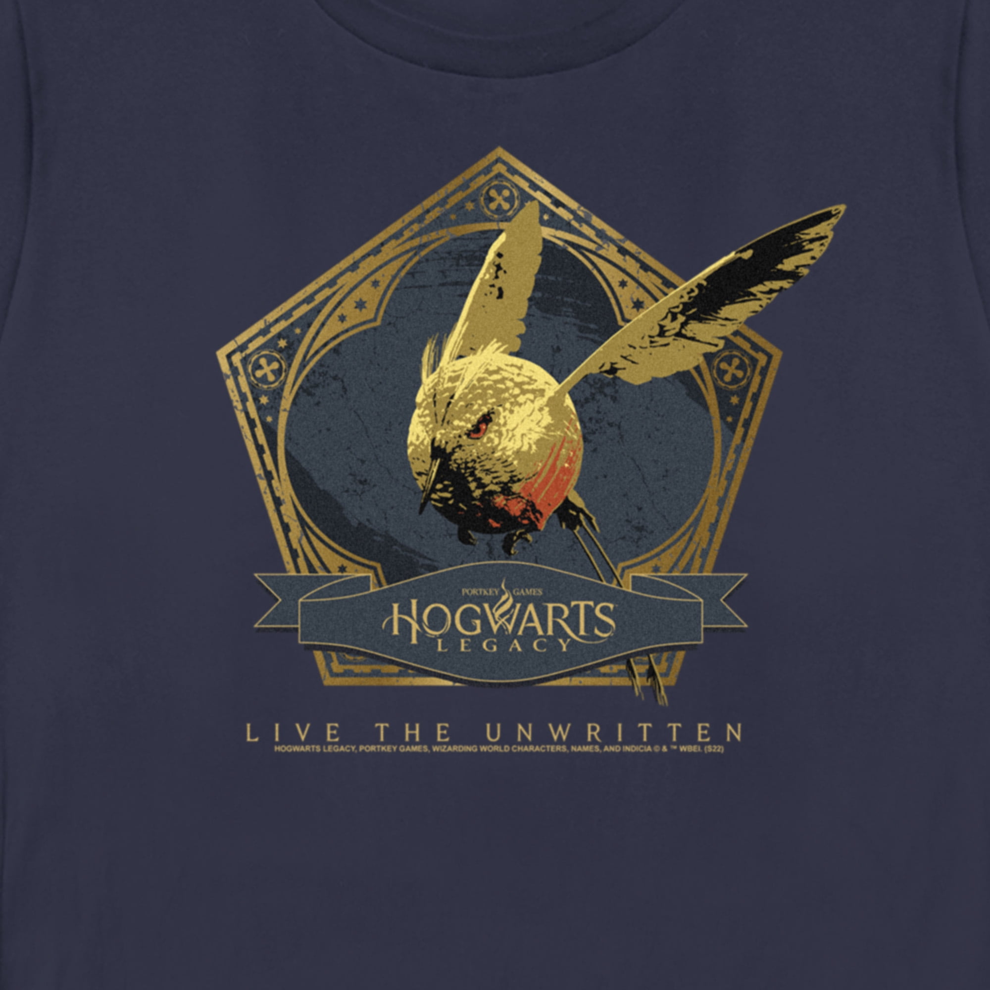 Women's Hogwarts Legacy Golden Snidget Logo Graphic Tee Navy Blue Large -  Walmart.com