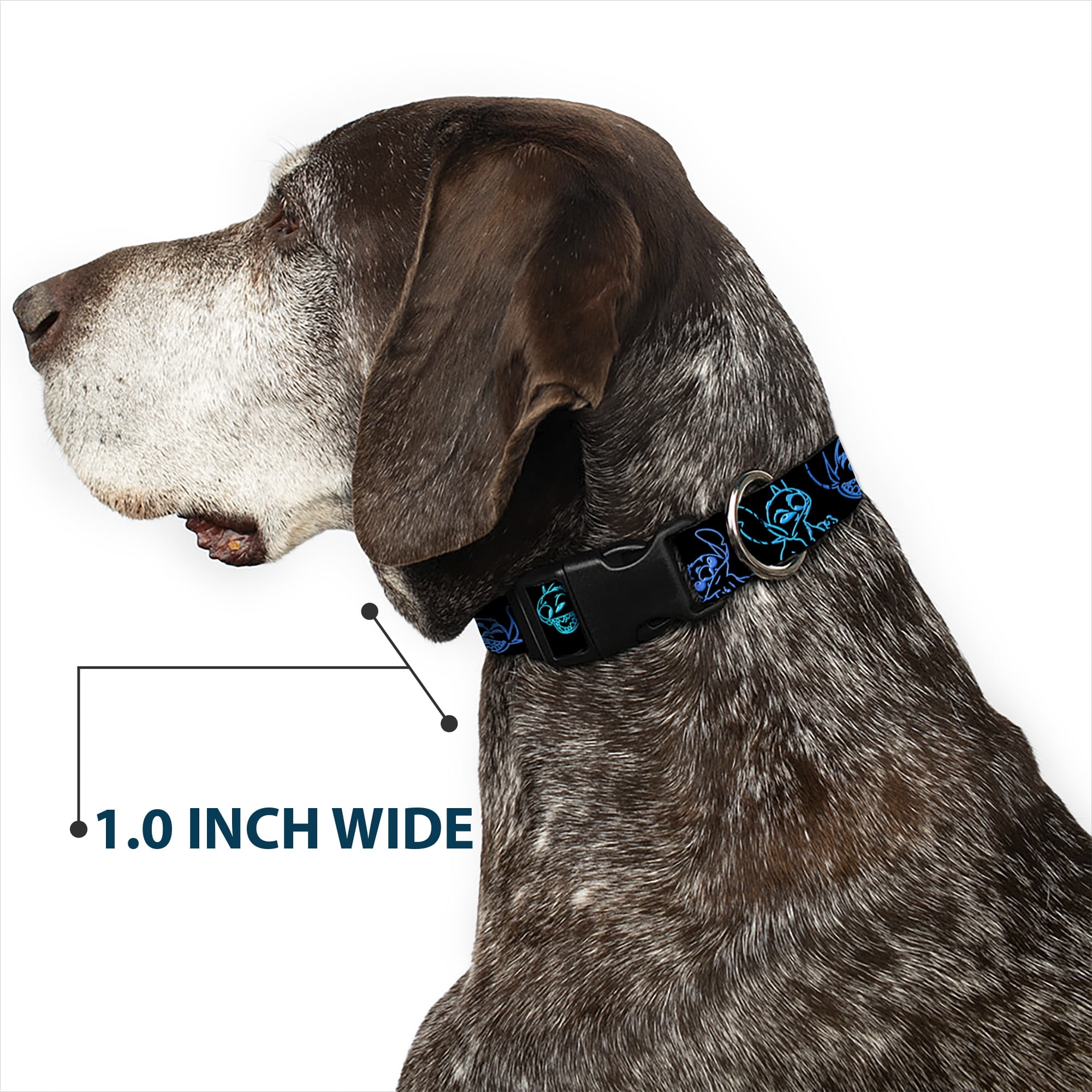 Disney Pet Collar, Dog Collar Plastic Buckle, Electric Stitch Poses Black Neon Blue, 15 to 24 Inches 1.0 Inch Wide
