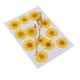 thumbnail image 1 of Exquisitas flores de crisantemo prensadas para 2 piezas, 1 of 8