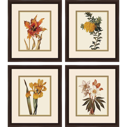 PTM Images Flowers Botanical Nature & Floral Framed Art Prints, Set of