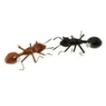 thumbnail image 4 of 5Pcs Toys Simulated s Bug Toy Supplies Education Models Fridge -, 4 of 8