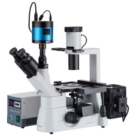AmScope 40x-400x Inverted Plan Fluorescence Microscope + CCD Low-light Camera New