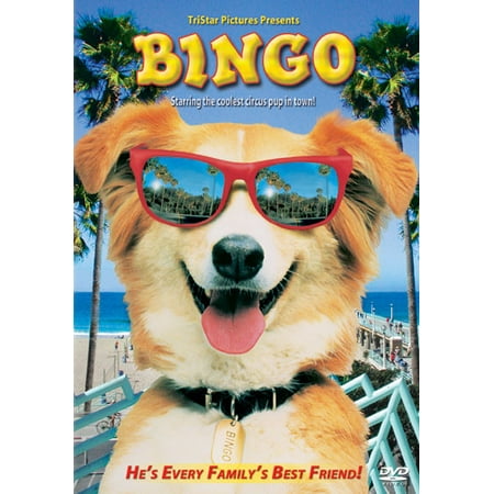 Life Picture Bingo - Bingo
