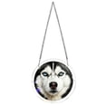 7.4 inch Acrylic Suncatcher Window Hanging Puzzle, Colorful Light ...