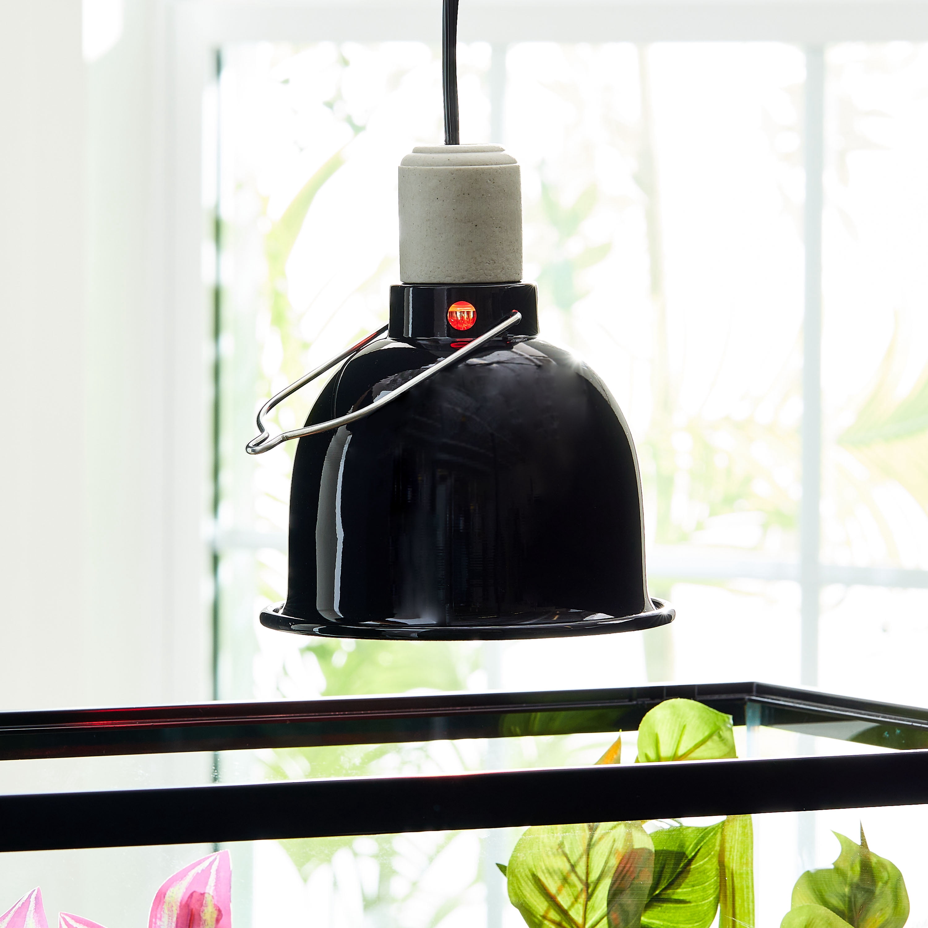 (3 pack) Vibrant Life Terrarium 5.5" Deep Dome Lamp with On/Off Switch for Reptiles