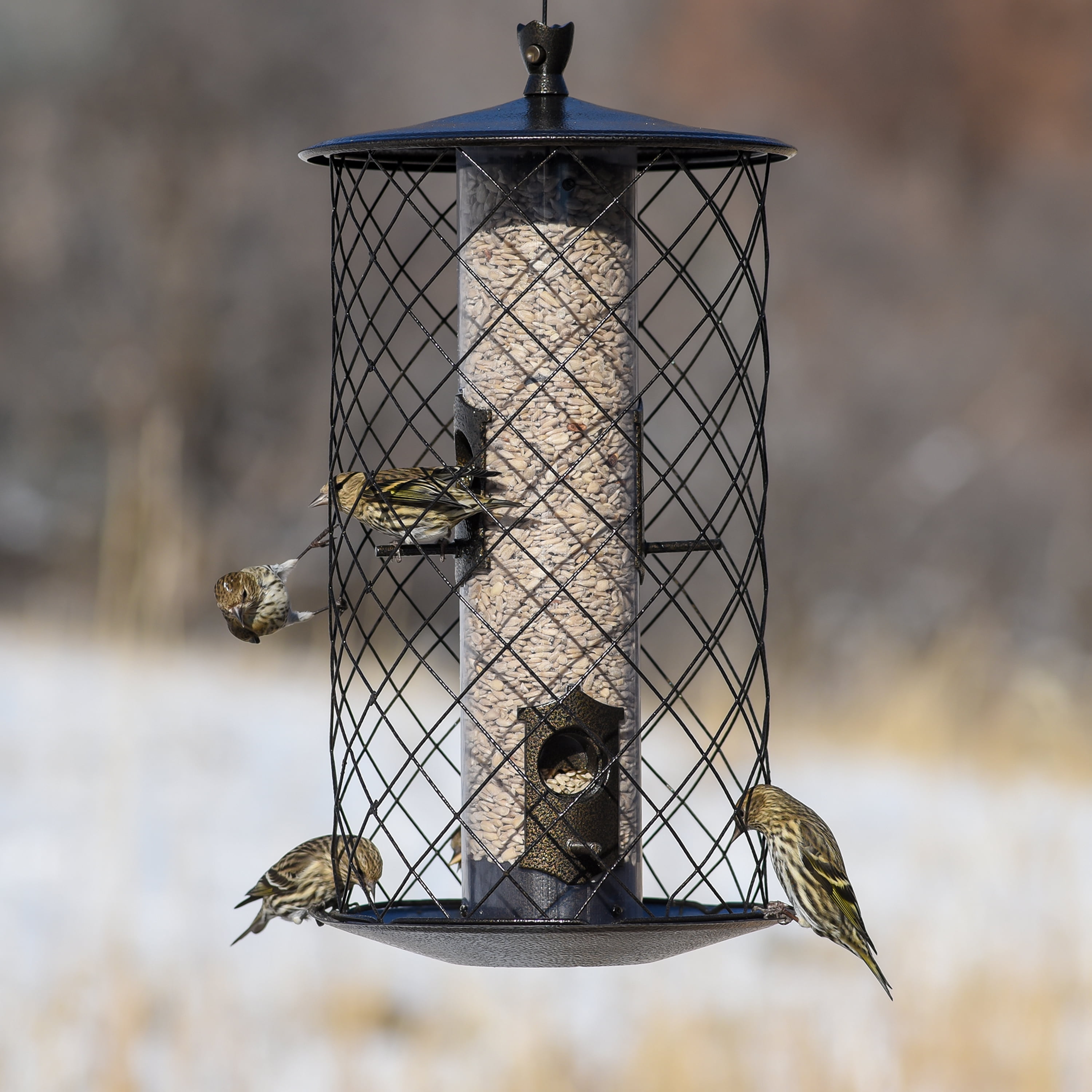 Outdoor Seasons 3 Lb. Capacity Preserve Bird Feeder