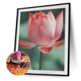 thumbnail image 2 of Cuadros Decorativos 5D DIY diamante pintura Lotus completo redondo diamante mosaico pared Ndcxsfigh Nuevos Originales, 2 of 9