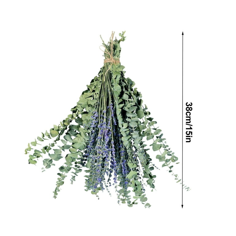 Mix Dried Preserved Eucalyptus Lavender Flowers Bundles For - Temu