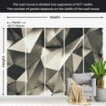thumbnail image 4 of Tiptophomedecor Abstract Wallpaper Wall Mural - Cosmic Silver, 4 of 7
