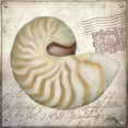 thumbnail image 2 of Medley, Elizabeth 26x26 Gold Ornate Wood Framed with Double Matting Museum Art Print Titled - Beach Shell III, 2 of 4