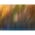 thumbnail image 2 of McLoughlin, James 24x19 Black Ornate Wood Framed with Double Matting Museum Art Print Titled - Soft Landscape X, 2 of 4