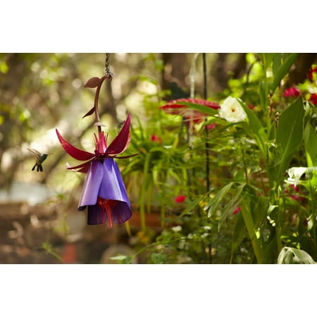 Fuchsia Hummingbird Feeder