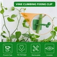 thumbnail image 3 of Plant Climbing Wall Fixture Clips, 150 Pcs 3 Sizes Invisible Wall Vines Fixture Wall Sticky Hook, Vine Plant Climbing Wall Fixer with Self-Adhesive Hook, 3 of 7