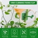 thumbnail image 3 of Clips para accesorios de pared trepadora de plantas, 150 piezas de 3 tamaños de enredaderas de pared invisibles, gancho adhesivo para pared, fijador de pared para trepar plantas de vid con gancho, 3 of 7
