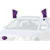 Purple Bat Car Costume