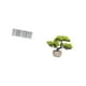 thumbnail image 5 of Reloj Digital De Bonsái Para Escritorio, Con Plantas, Multiusos, Muestra La Temperatura, La Humedad Y La Vegetación, Colección De árboles Artificiales Para Centros De Mesa De Oficina Y, 5 of 8