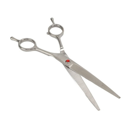 Curated visual reference: Fresh Look at Trimming Straight Cut Scissors Pet Trimming Straight Cut Scissors