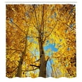 thumbnail image 3 of Ambesonne Nature Shower Curtain, Autumn Trees Leaf Forest, 69"Wx75"L, Earth Yellow Sand Brown, 3 of 5