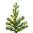 thumbnail image 2 of Vickerman 12' x 54" Moutauk Pine Artificial Christmas Pencil Tree, Warm White Dura-lit LED Lights, 2 of 2