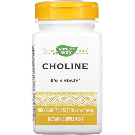 Nature's Way Choline Tablet, 100 Count