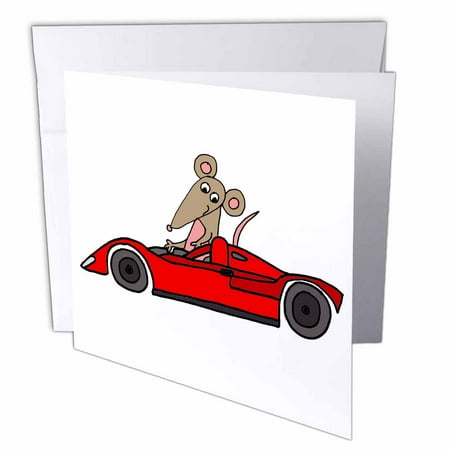 Cool Funny Rat Race Satire with Rat in Race car Cartoon 1 Greeting Card with envelope gc-315999-5