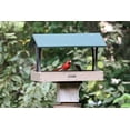 thumbnail image 5 of Birds Choice Green and Beige Fly-Thru Platform Bird Feeder, 5 of 10