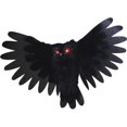 thumbnail image 1 of Hibou Animé pour Adulte, 1 of 1