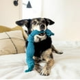 thumbnail image 3 of Playology Dog Toys | Dental Chew Rope For Senior Dogs, Peanut Butter Scented Toy - Jumbo, 3 of 6