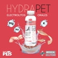 thumbnail image 3 of Suero Hidratante para Perro sabor Tócino 450ml, 3 of 3