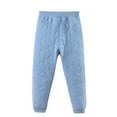 thumbnail image 3 of Dpytoraw Kids Girls Boys Snow Pants Thick Winter Warm Pants Girl Activewear Clothes Girls Fleece Pants Size 2-3 Years, 3 of 3
