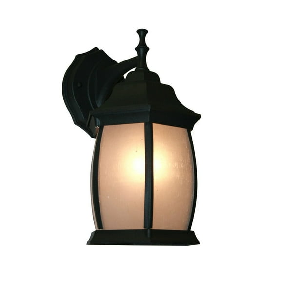 1 Light Outdoor Wall Light T20-BK-F
