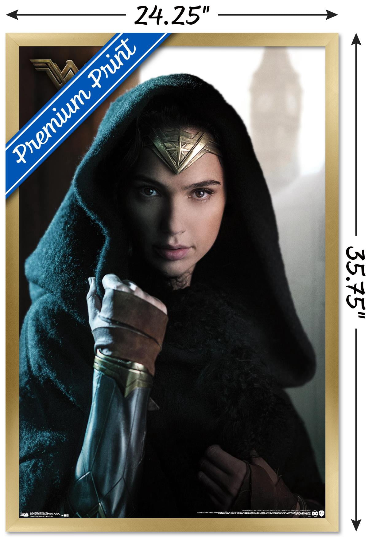 DC Comics Movie - Wonder Woman - Cloak Wall Poster, 22.375" x 34", Framed