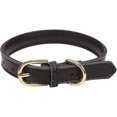 thumbnail image 1 of Aolove Basic Classic Padded Leather Pet Collars For Cats Puppy Small Medium Dogs, 1 of 5