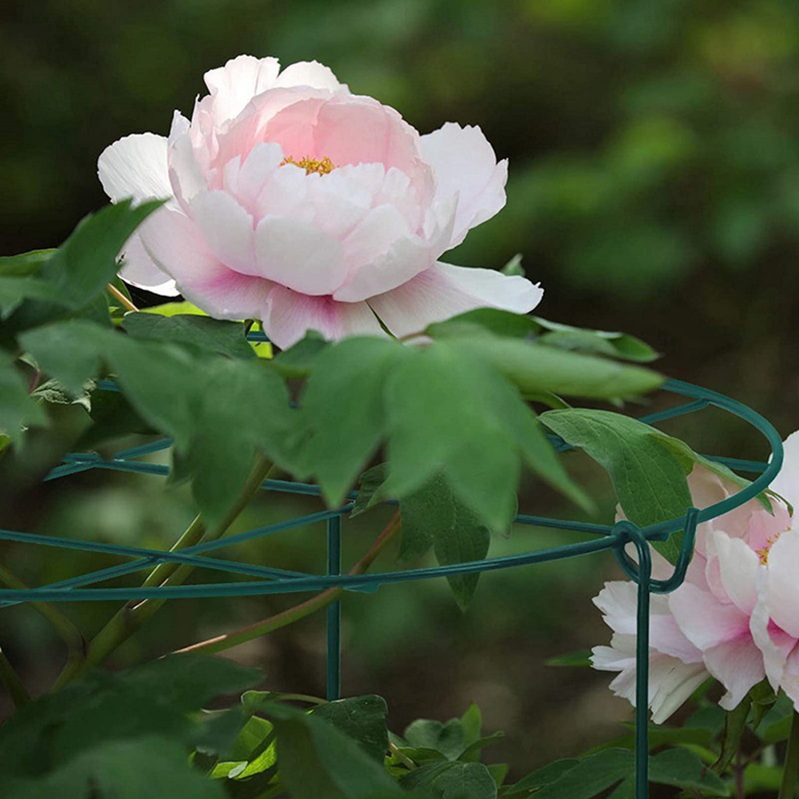Peony Support Cage, Plant Flower Stake, Garden Plant Support, Horticultural Stake, For Peonies, Tomatoes, Climbing Vegetables Two Styles(A-12In)