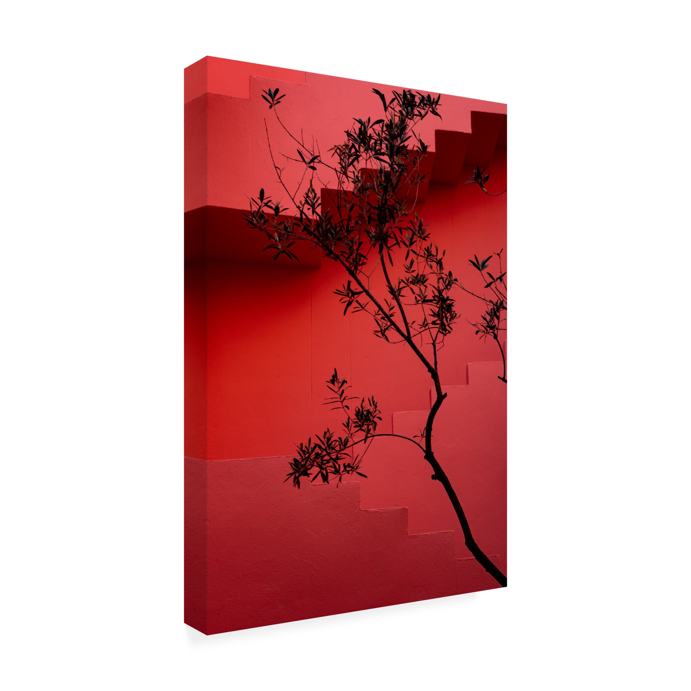 Trademark Fine Art Linda Wride Muralla Roja 14 Canvas Wall Art