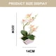 thumbnail image 2 of Flor de seda Artificial, phalaenopsis de doble punta, maceta falsa, decoración de paisaje, planta artificial en maceta, planta verde, 2 of 5