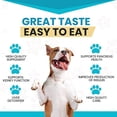 thumbnail image 4 of Wanderfound Pets Milk Thistle for Dogs 100 Chewable Tablets Salmon and Bacon Natural Liver Support for Pets, Kidney Cleanse Detox & Repair Formula,, 4 of 8