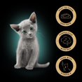 thumbnail image 2 of SHEBA PERFECT PORTIONS Wet Kitten Food Paté Delicate Salmon Entrée, 2 of 9