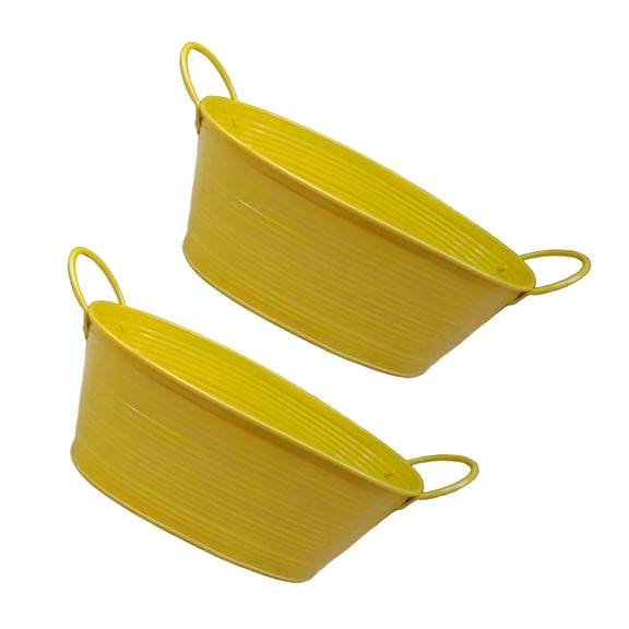 Elegant Oval Flower Planter Bucket Container with Double Handle Suitable For Succulents Plant Home Office Decoration